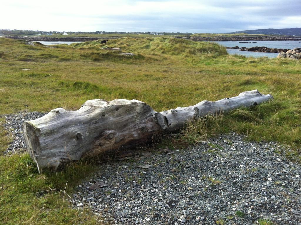 Teach Donncadh B&B Kincasslagh Exteriör bild
